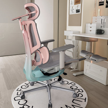 Pro Ergonomic Chair with Footrest