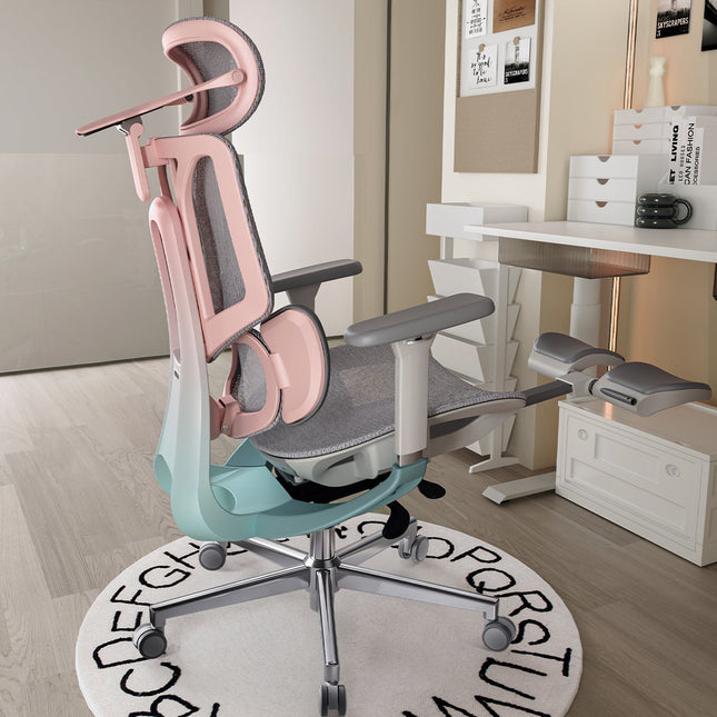 Pro Ergonomic Chair with Footrest