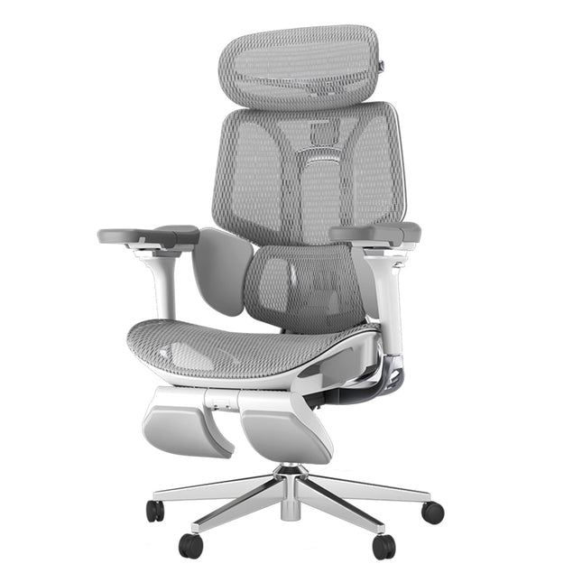 Pro Ergonomic Chair with Footrest