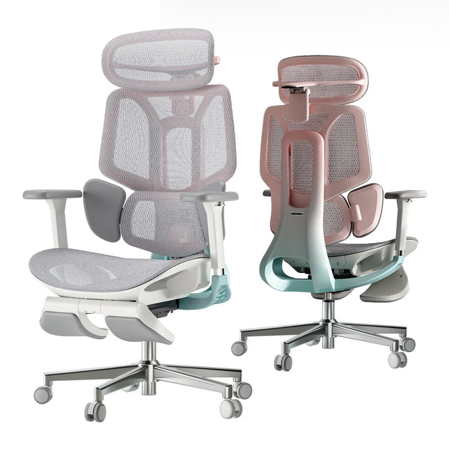 Pro Ergonomic Chair with Footrest