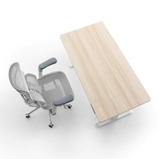 D03 Electric Height Adjustable Standing Desk